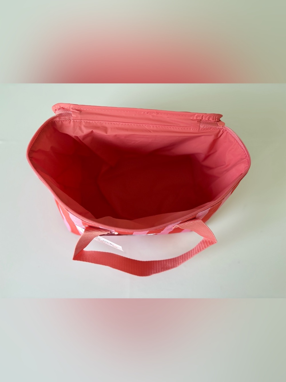 Trader Joe's mini coral Striped Insulated Lunch Bag - Picture 4 of 4